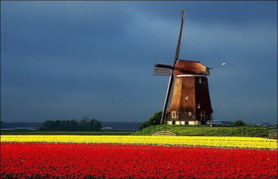 NETHERLANDS-ประเทศแห่งกังหันลมและดอกไม้งาม (ตอนที่ 1)