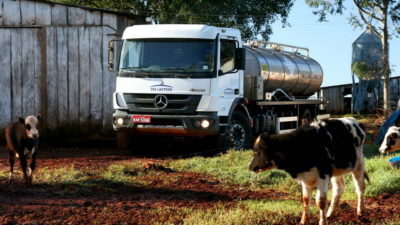 Milk for Brazil: Mercedes-Benz keeps it fresh!