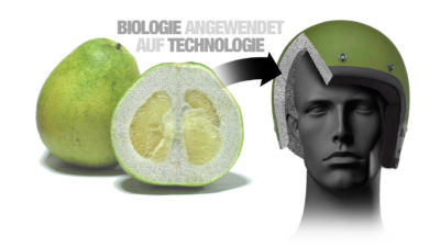 BMW FRUIT-INSPIRED PROTECTION-Inspired by nature: New body protection for BMW employees