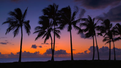 HAWAII-เกาะสวาทหาดสวรรค์กลางมหาสมุทรแปซิฟิกมีความหมายว่า “ความสงบ” ตามภาษาท้องถิ่น