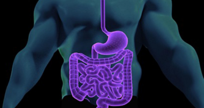 Gut Feeling: Endoscopy Startup Uses AI to Spot Stomach, Colon Cancer